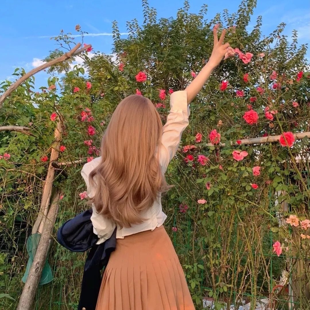 诺亚动物诊所病历记录簿